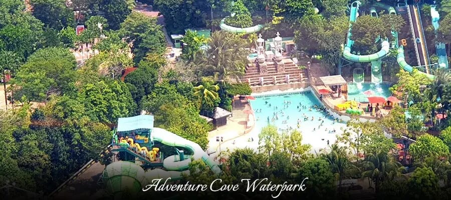 Adventure Cove Waterpark